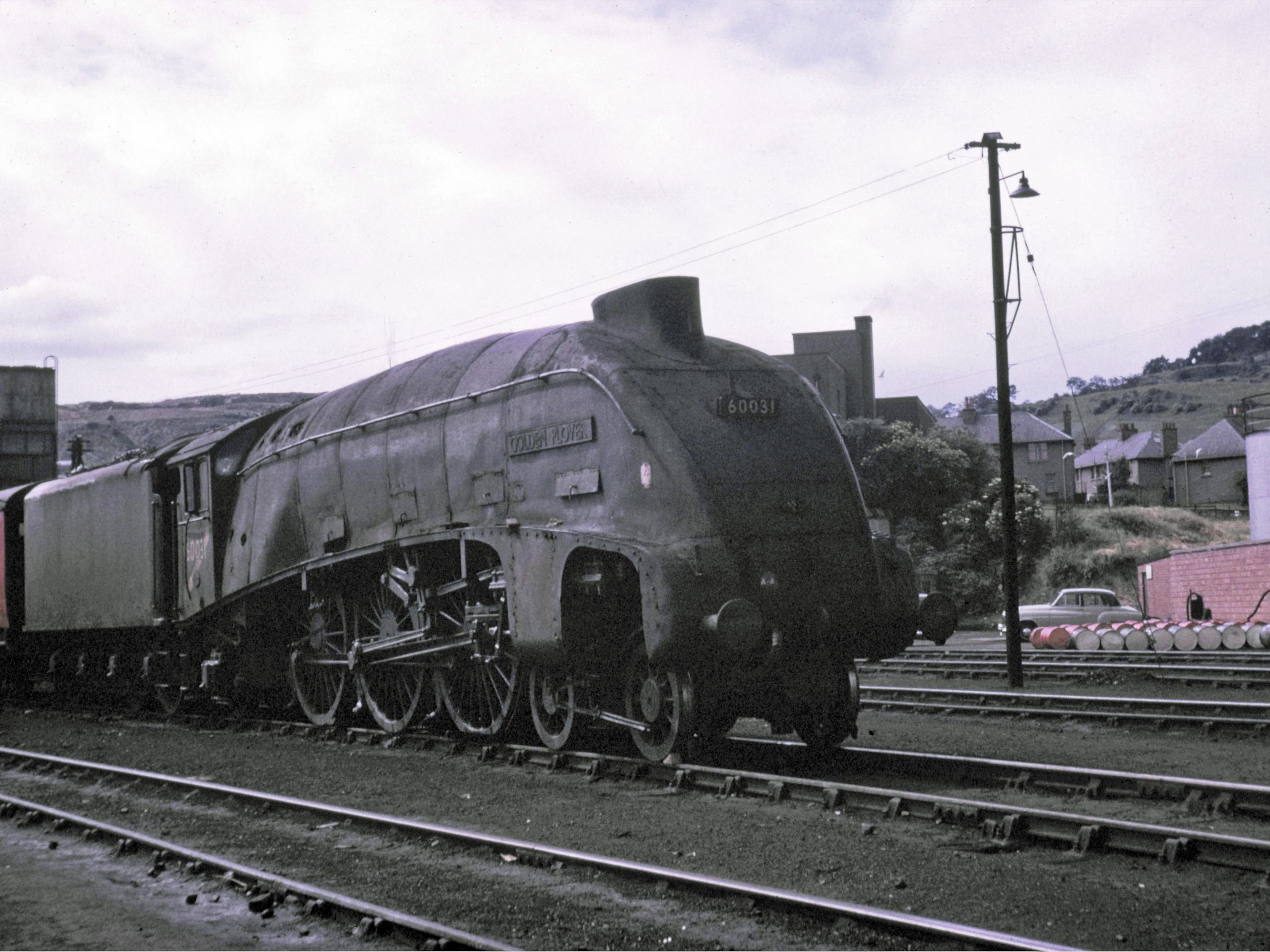 60031 Golden Plover Perth July 1965.jpg