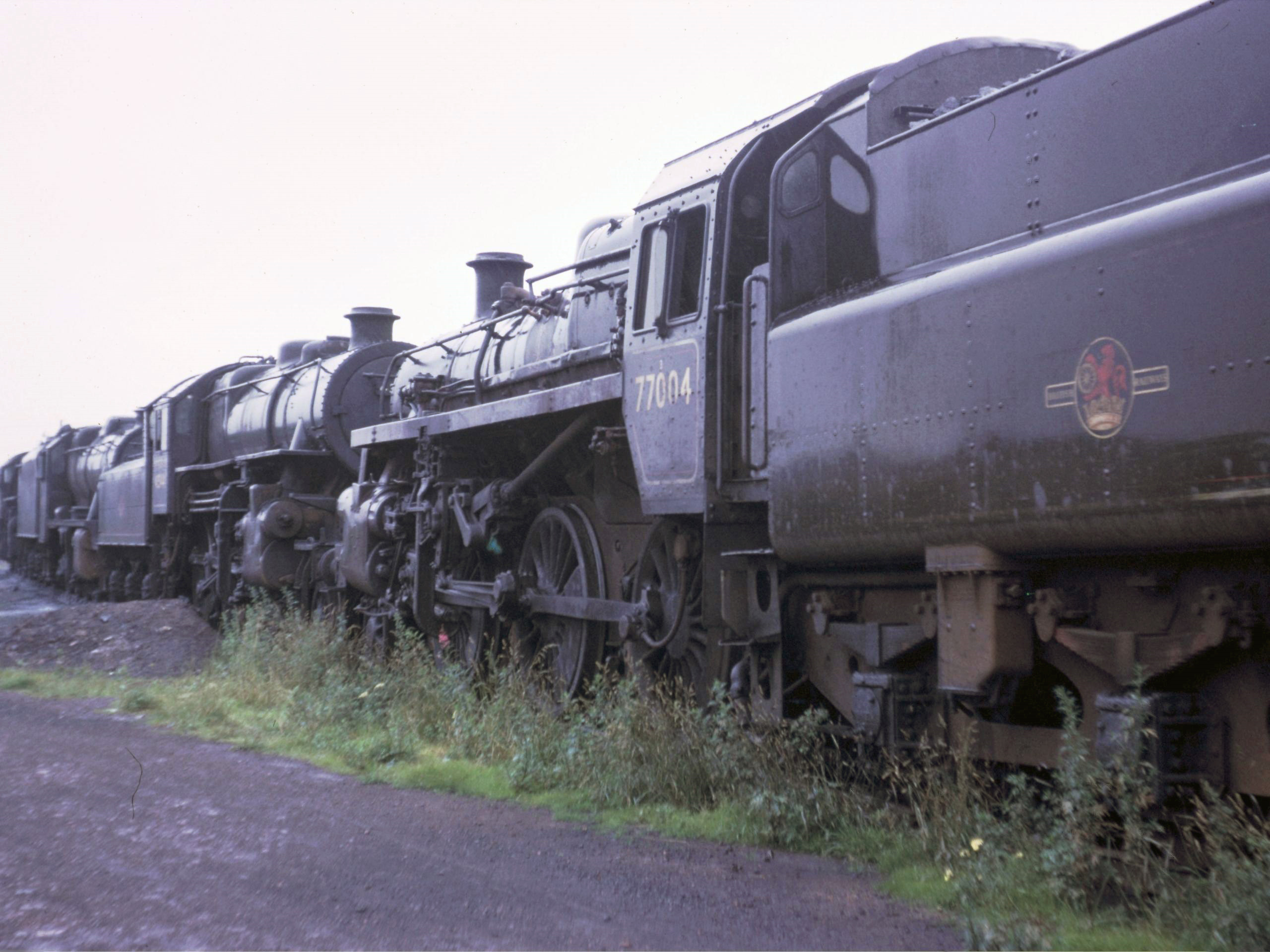 77004 & 43044-Stourton-July 1966.jpg