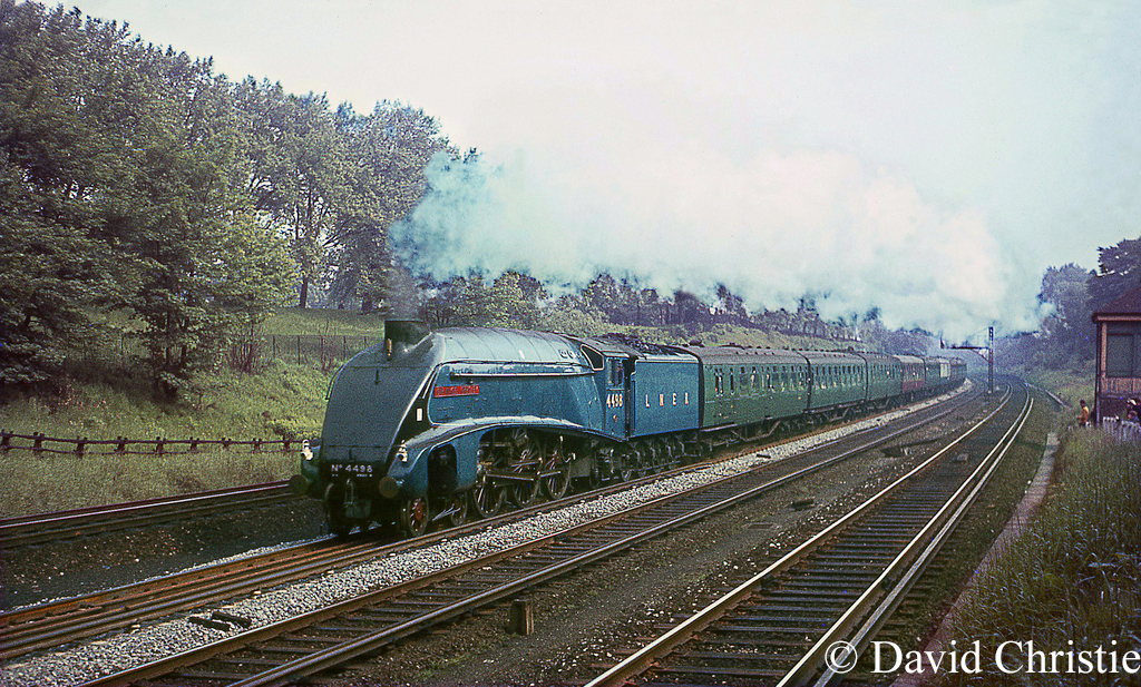 60007 Sir Nigel Gresley in Clapham Cutting - June 1967.jpg