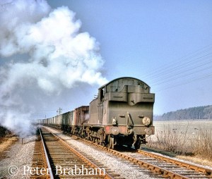 5619 – Preserved British Steam Locomotives