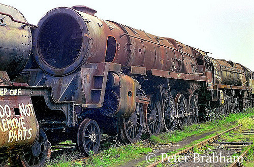 This image has an empty alt attribute; its file name is 92219-in-woodhams-scrapyard-at-barry-in-front-of-35022-holland-america-line-c2009.jpg