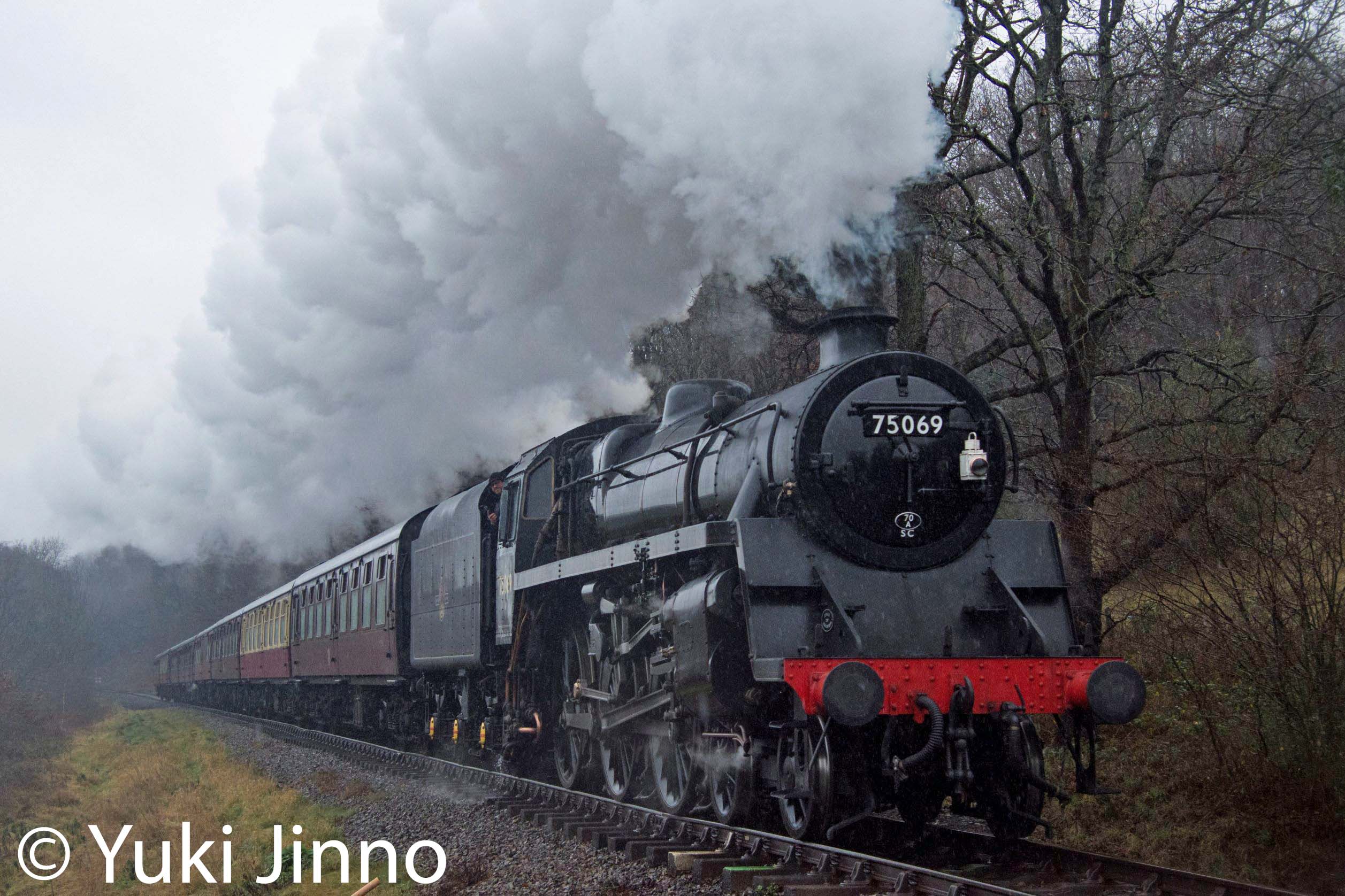 SteamＱ 401907 Hoffman FT175X-8 2